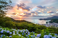 松崎・あじさいの丘の夕日