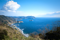早春の南伊豆・西海岸